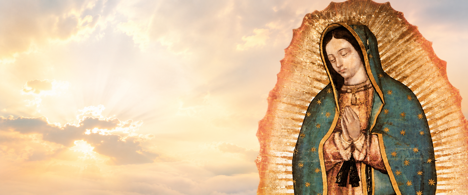 virgen de guadalupe virgen de guadalupe