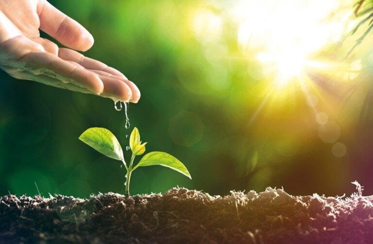 nuestro-estilo-de-vida