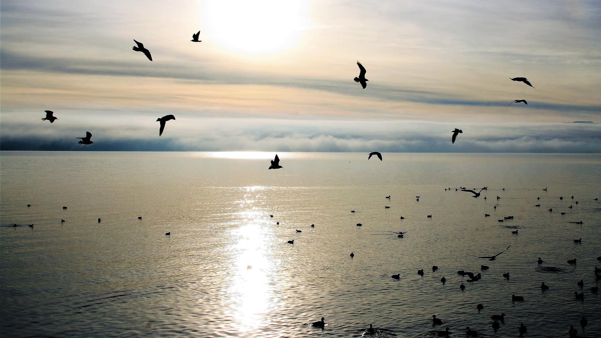 La mejor metáfora de Dios