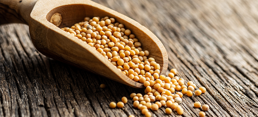 “Auméntanos la fe”