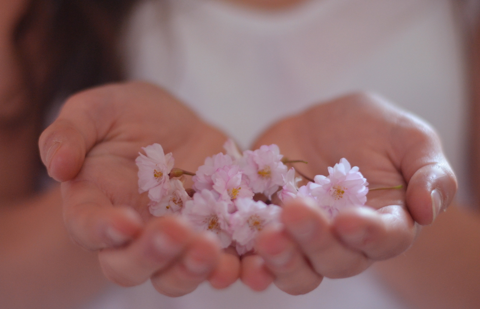 Nadie puede salvarse solo. Recomenzar desde el COVID-19 para trazar juntos caminos de paz