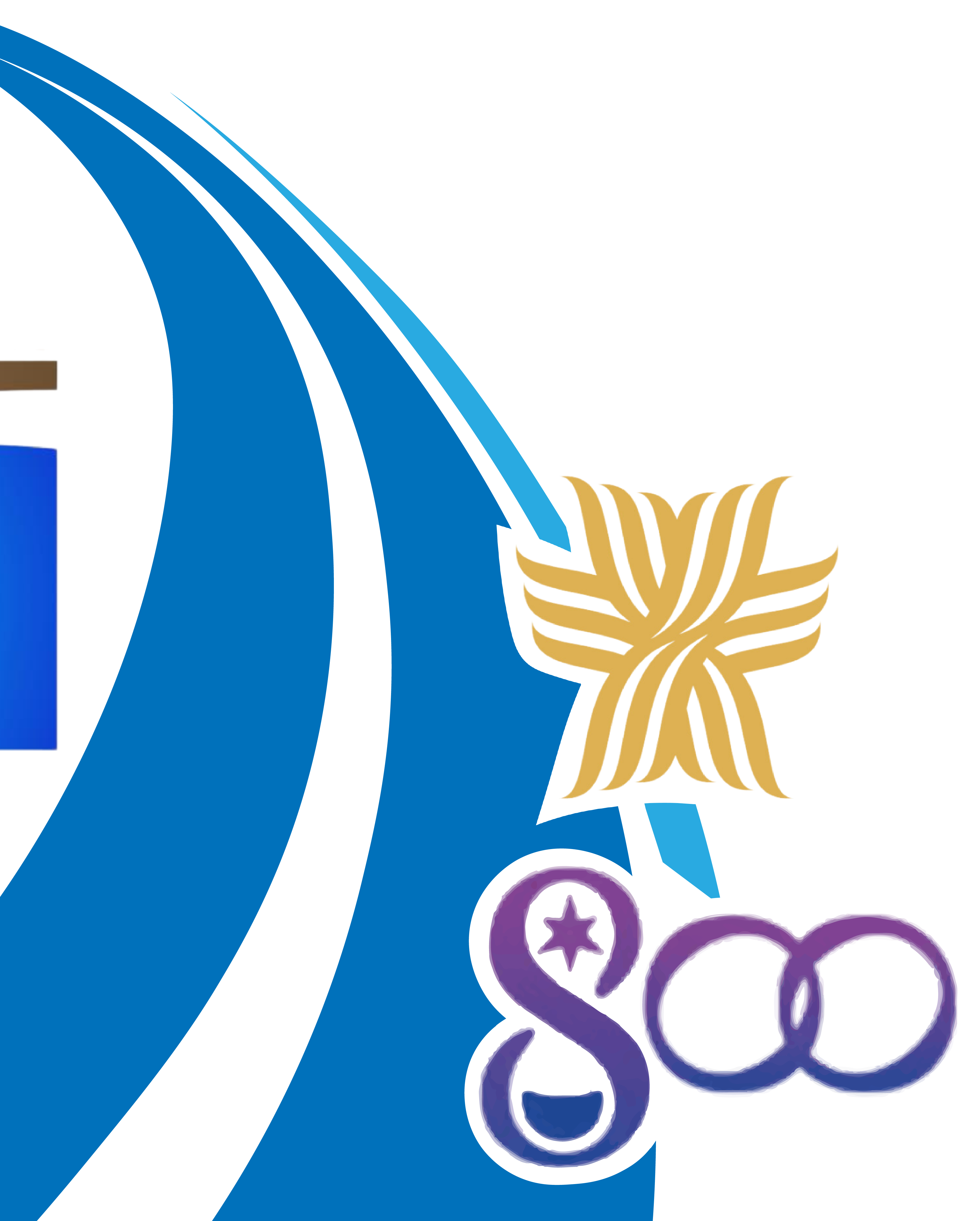 Centenario franciscano 2024: El regalo de los estigmas