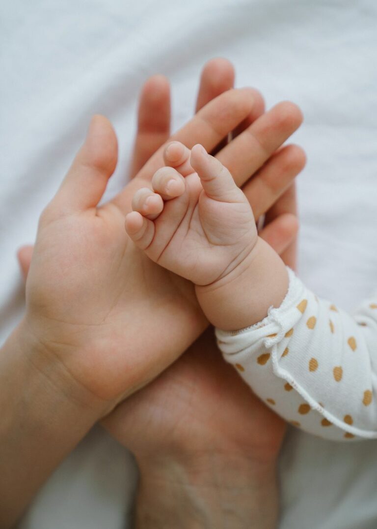 Seguir a Jesús desde la familia