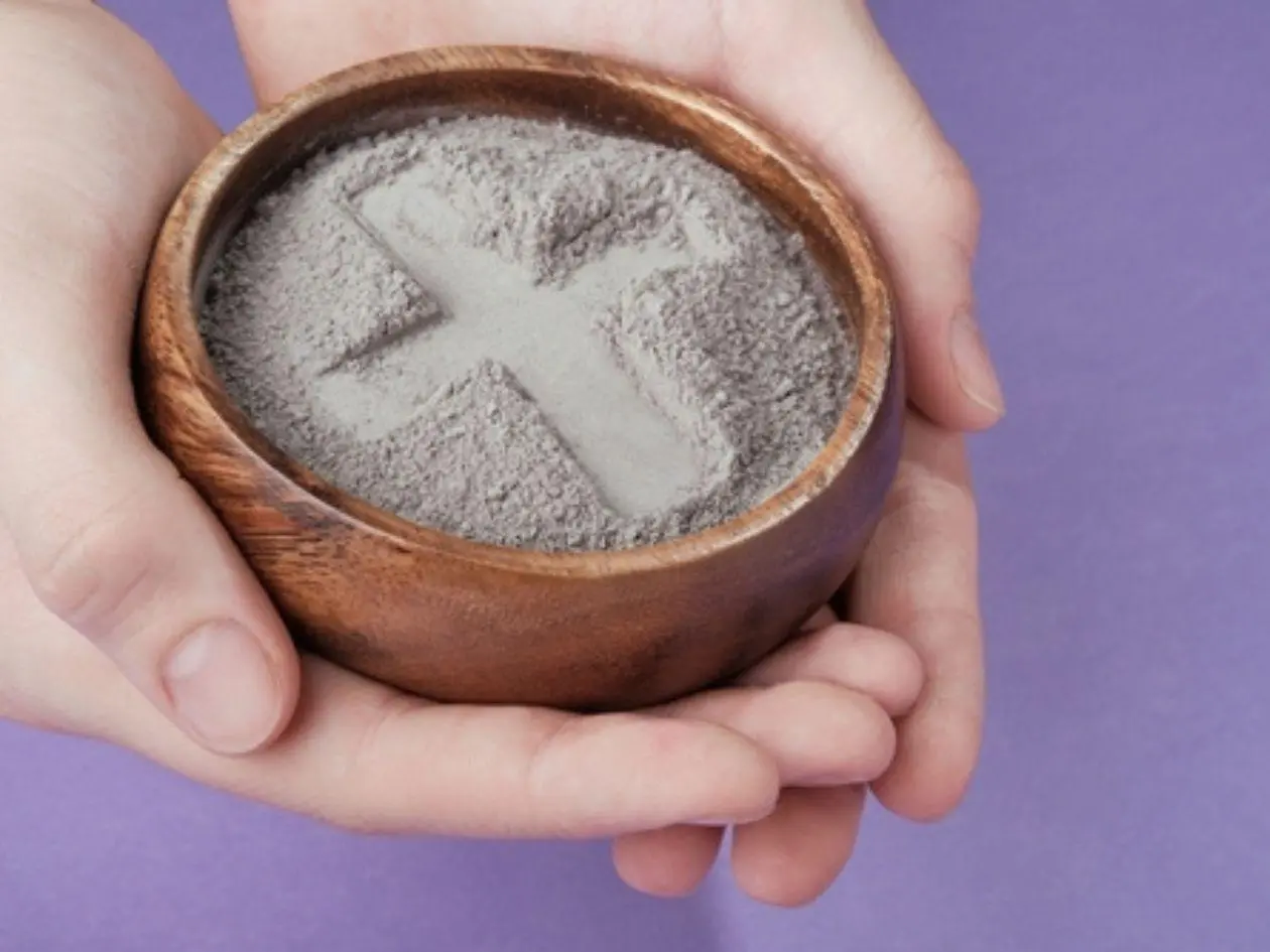 El vigor de las cenizas