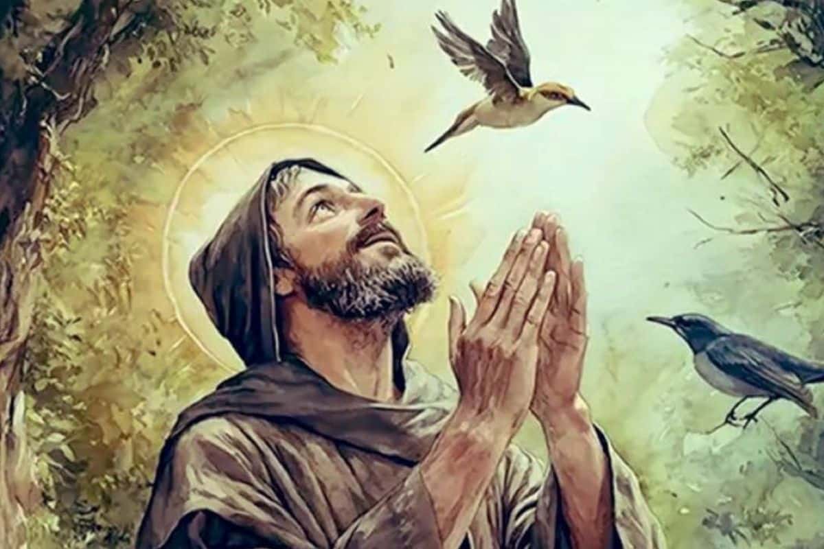 800 años del Tránsito de San Francisco: su tumba en Asís